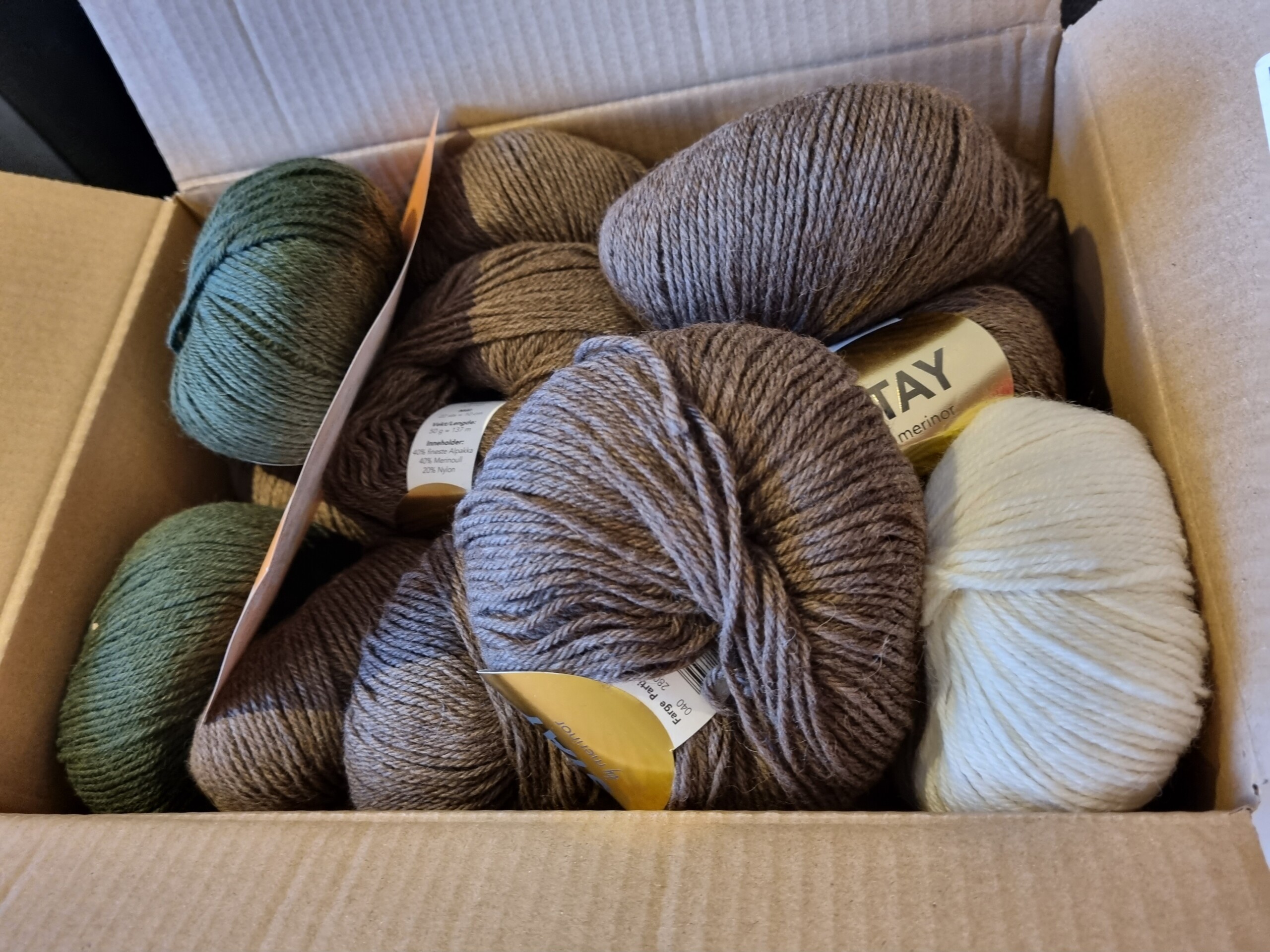 MetteJosteinsdatter 🚶♀️🤸♀️ carlgenser